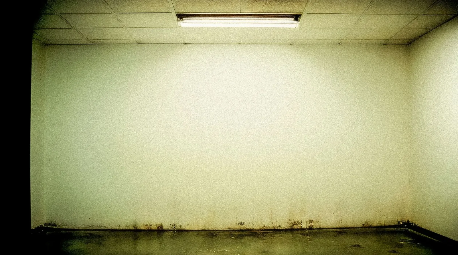 Basement waterproofing cost for interior and exterior sealing systems