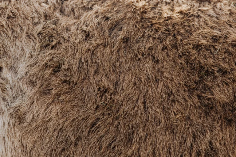 Blown In Insulation Cost: What Homeowners Pay in 2026