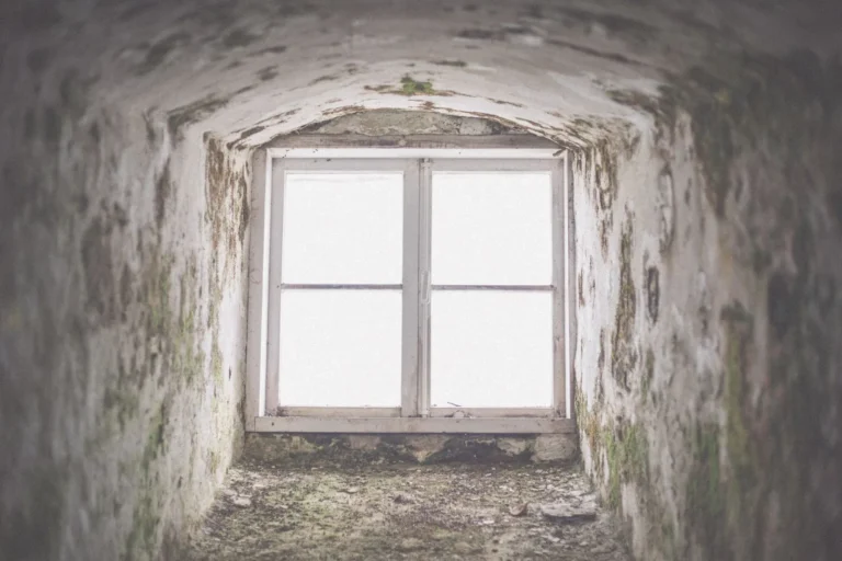 Egress Window Cost: What You’ll Actually Pay in 2025